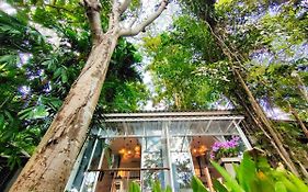 เรนฟอเรสต์ รีสอร์ท พิษณุโลก